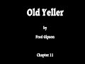 Old Yeller's Journey and Challenges