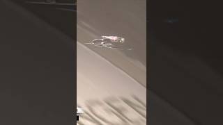 Domen Prevc 152 m winning jump in Willingen 💪💪💪🇸🇮🇸🇮🇸🇮