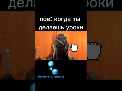 Пов: когда ты делаешь уроки... 💀#cats #memes #shorts