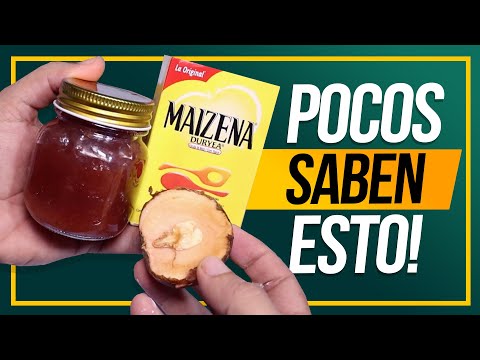 Tu Cabello Renace en Días: Maizena Lo Repara, Suaviza y Da Brillo