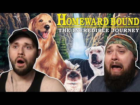 *HOMEWARD BOUND: THE INCREDIBLE JOURNEY* BROKE OUR HEARTS!