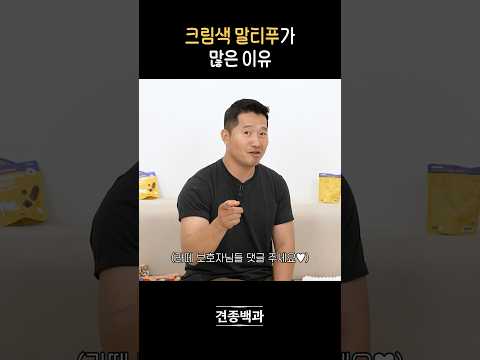 크림 말티푸 쏘ㅏ리질러ㅓㅓ