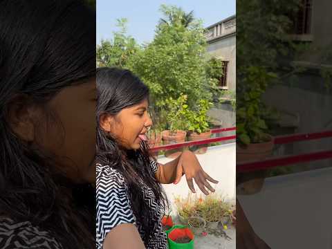 ছি এটা কী গন্ধ 🤮