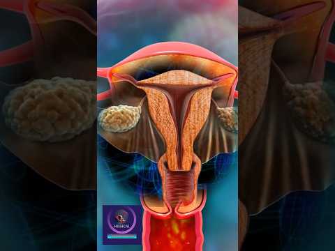 Journey to Conception: Functions of the Female Reproductive System Explained