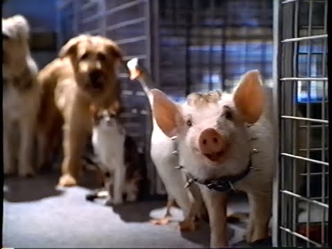 Babe - Pig in the City (1998) Teaser (VHS Capture)