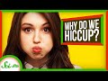 Understanding Hiccups