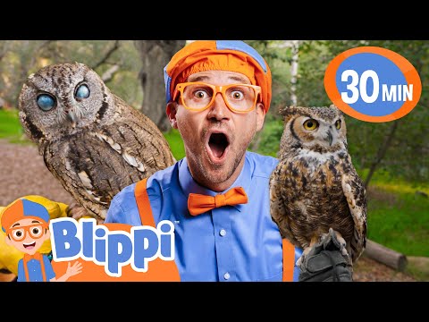 Blippi Meets Owl Friends! | BEST OF BLIPPI TOYS | Educational Videos for Kids