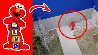 ELMO Captado en Camara en la Vida Real
