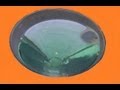 ვიდეო გაკვეთილის ტესტი