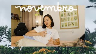 vlog de novembro / fui num desfile de moda, fim de semestre na facul, beto carrero & mais coisinhas