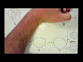 Mitosis and Meiosis: Key Concepts and Processes