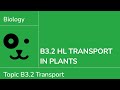 Plant Transport Mechanisms and Functions