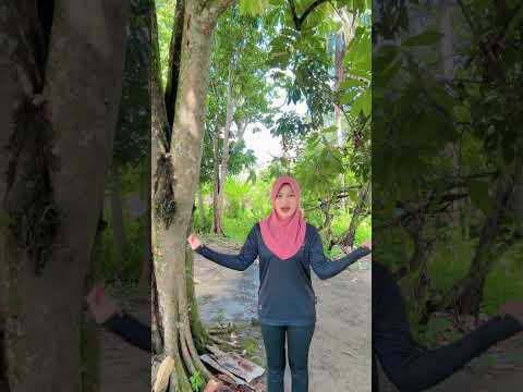 aku make lagging karna habis jogging yaa🫶🏻😻 #harusberanda #fypシ゚viral #fypシ゚viral #comedy