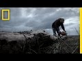 Firewood Gathering and Survival Skills