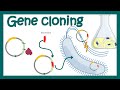 DNA Cloning Concepts and Applications