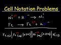 Electrochemical Cell Notation Quiz