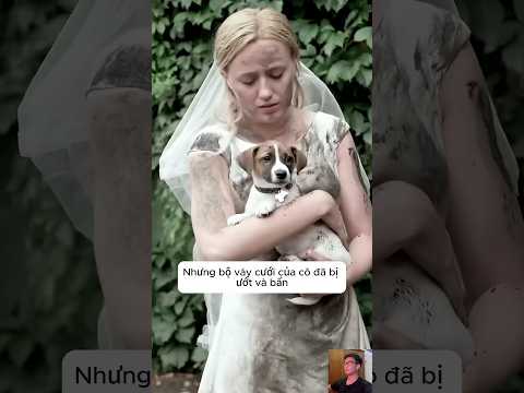 Cô dâu xinh đẹp cứu chú chó tội nghiệp #shorts