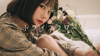 ドライフラワー／優里 - Official Music Video きゅっぽん Ver