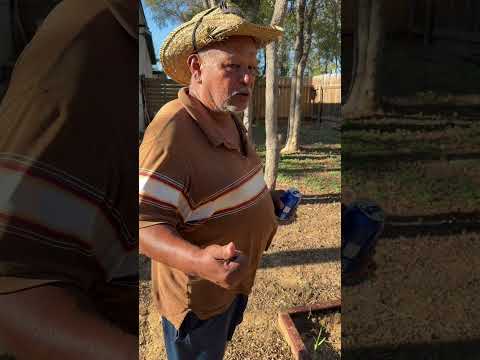 Mi papá sembró 800 ajos en mi casa 😱