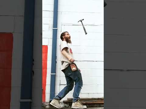 Forget catching flies, this guy catches hammers with style!
