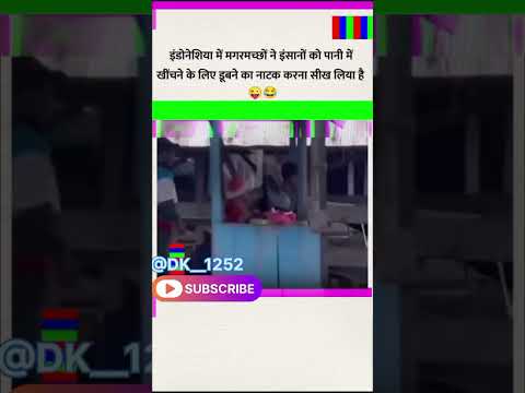 इंडोनेशिया में मगरमच्छों ने इंसानों को पानी में खींचने#motivation#dkmotivational#shortvideo