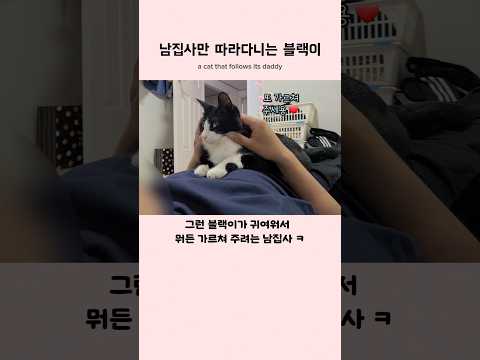 남집사만 따라다니는 고양이