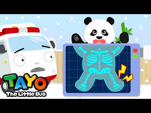 The Panda Rolls and Rolls | Save the Animals | Tayo Animal Rescue Team | Tayo the Little Bus