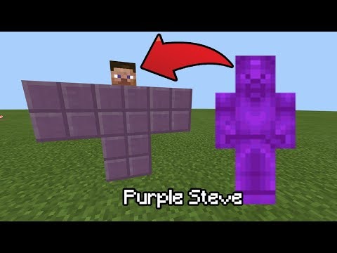 Color Code For Purple Steve 12 21