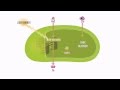 Exploring Photosynthesis: Light and Dark Reactions