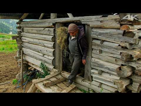 Hertus’ta Otantik Yaşam: Yaylanın Son Bekçileri | Belgesel Film