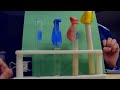 Observations and Outcomes in Experiments