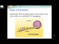 Molecular Biology Concepts Assessment