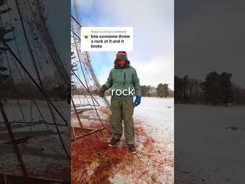 Why do they break the Christmas glass tree?🤔