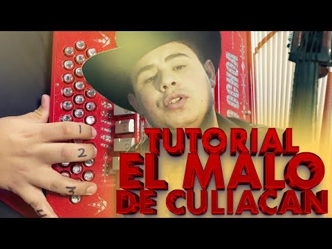 El malo de Culiacán acordeon (con adornos)