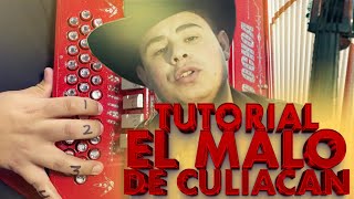 El malo de Culiacán acordeon (con adornos)