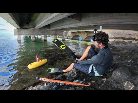 Murky Water Shore Dive | Hungry Shark | Spear & Cook