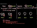 Nitrogenous Bases and Their Functions