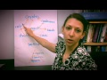 Energy Flow in Trophic Levels