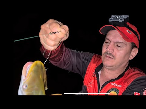 NO COMEÇO SÓ DEU PIRANHA MAS NO FINAL O PEIXE VEIO