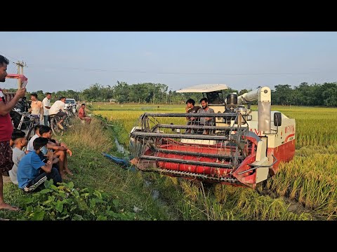 GAM Harvester machine working video | GAM machine dhan katne ka video | GAM machine video ||