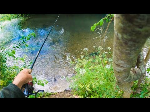 Float Fishing a Small River on open day….the fish are on the bite!