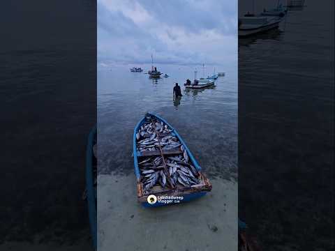 ലക്ഷദ്വീപിലെ "മാസ് ഉണ്ടാവുന്നത് ഇങ്ങനെയാണ് #lakshadweep #tuna #dryfishrecipe #fish #shorts