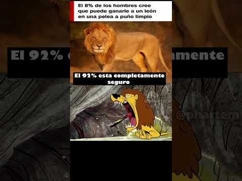 El 8 % de los hombres cree que puede ganarle a un Leon #memes #humor