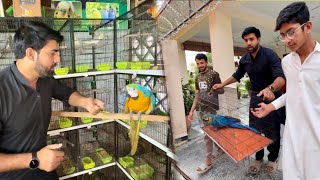 Dangerous Macaw Ko Wapis Dy Dia 🥺 Boht Zor Say Kat Raha Tha 😒