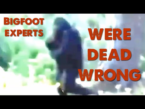 Independence Day Bigfoot (Finally We Have an Answer)