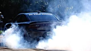 Best of Lake Mary Cars & Coffee Pullouts, Rolling Burnouts, & Full Sends!! -August 2025