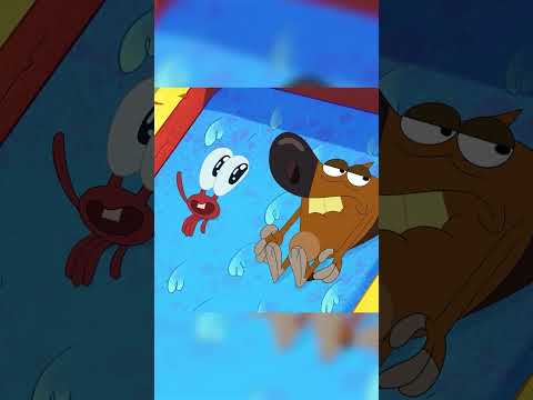 #Shorts 🔶 Zig & Sharko 🤩 HOW THEY MET PART.2