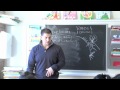 Forebrain Functions and Brain Anatomy