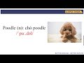 Understanding Video Section Durations
