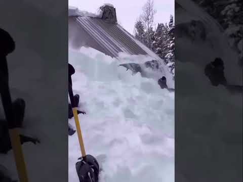 Have You Ever Seen A Guy Clear An Entire Barn Roof Of Snow With NO Shovel? #comedy #nature